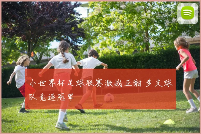 小世界杯足球联赛激战正酣 多支球队竞逐冠军