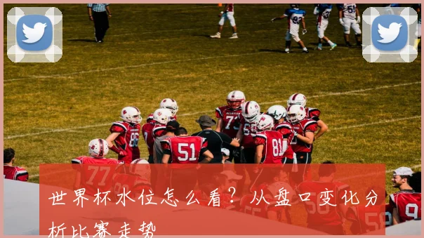 世界杯水位怎么看?从盘口变化分析比赛走势