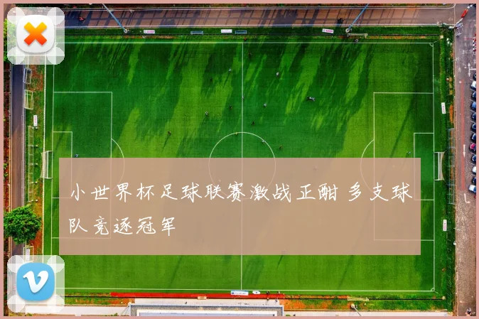 小世界杯足球联赛激战正酣 多支球队竞逐冠军
