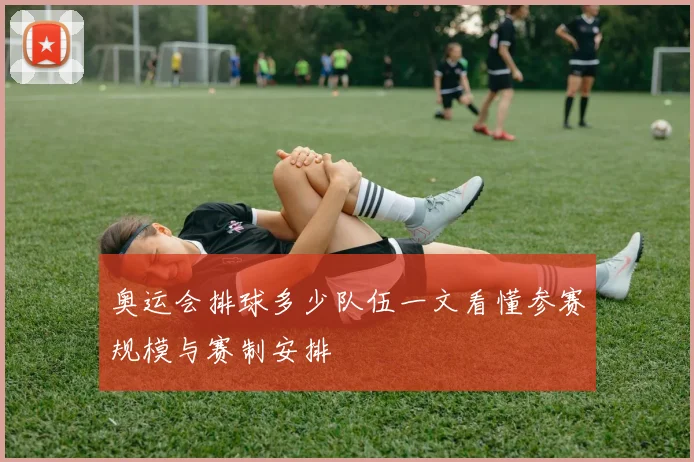 奥运会排球多少队伍一文看懂参赛规模与赛制安排