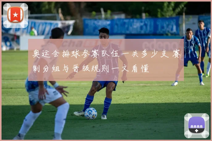 奥运会排球参赛队伍一共多少支 赛制分组与晋级规则一文看懂