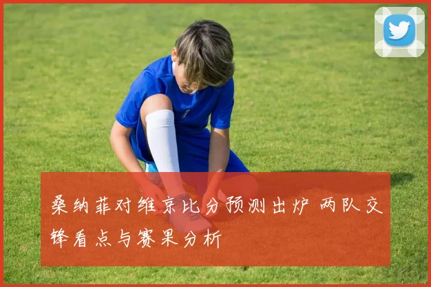 桑纳菲对维京比分预测出炉 两队交锋看点与赛果分析
