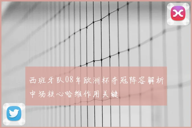西班牙队08年欧洲杯夺冠阵容解析中场核心哈维作用关键